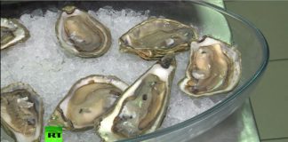 В Крыму успешно растет производство устриц
