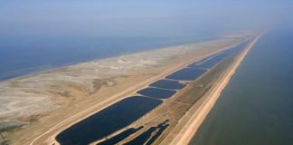 Арабатская стрелка (коса), Азовское море — описание, история, дикий отдых