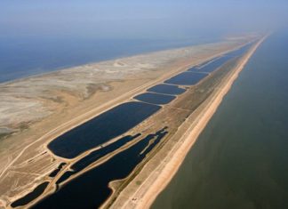 Арабатская стрелка (коса), Азовское море — описание, история, дикий отдых