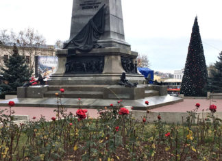 В Севастополе зацвели розы, флоксы, хризантемы — в середине января 2018