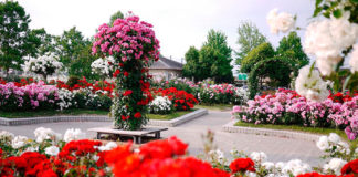 Парк Чаир Крым фото Парк Чаир в Мисхоре, Крым, фото