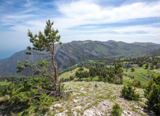 Восемь экологических турмаршрутов по Крыму подготовило Минприроды Крыма Экологические турмаршруты по Крыму