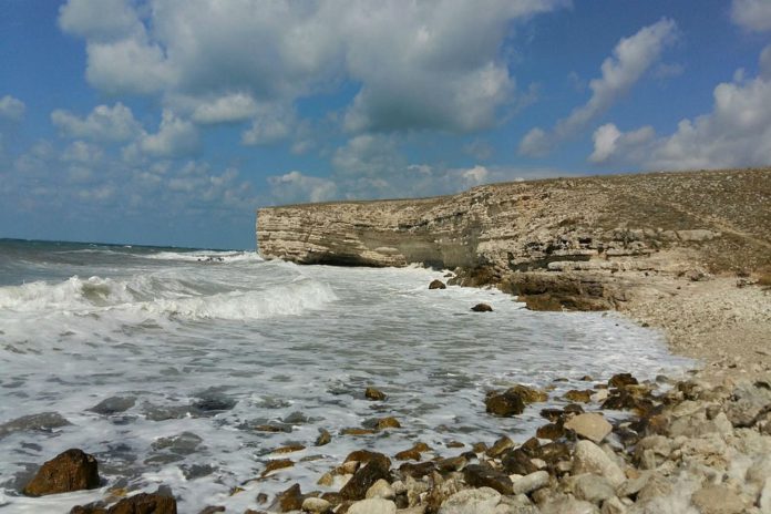 8 пляжей в Черноморском районе Крыма закрыты для купания
