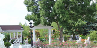 Курорт Саки — лидер среди бальнеологических курортов (минеральных вод) в России саки лечение минеральные воды в крыму