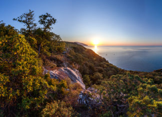 Крымские природные заповедники могут стать платными Природные заповедники Крыма могут стать платными