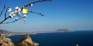 Где самый недорогой бюжетный отдых весной в России? Крым — в ТОП-10! ТОП-10 городов недорогой отдых весной в России