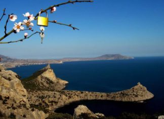 Где самый недорогой бюжетный отдых весной в России? Крым — в ТОП-10! ТОП-10 городов недорогой отдых весной в России