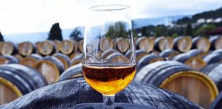 Крымские вина попали в ТОП-10 и в ТОП-1 «Винного гида» России, ноябрь 2019