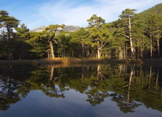 ФГБУ «Заповедный Крым» встанет на защиту Крымских природных заповедников