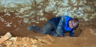 Ученые исследуют в пещере Таврида уникальные останки животных, живших более 1.5 млн лет назад Уникальные исследования останков животных в пещере Таврида в Крыму