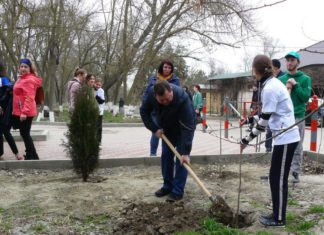 Всероссийская акция «Сад Памяти» стартует в Крыму, всего в ходе акции будет высажено 27млн саженцев Всероссийская акция "Сад Памяти" стартует в Крыму, всего в ходе акции будет высажено 27млн саженцев