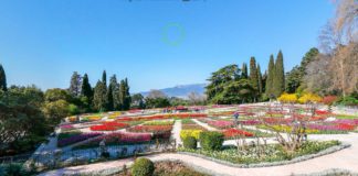 Виртуальная экспозиция «Парад тюльпанов-2020» в Ялте, 3D-тур по Никитскому ботаническому саду Виртуальная экспозиция "Парад тюльпанов-2020" в Ялте, 3D-тур по Никитскому ботаническому саду