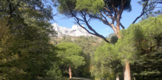 «Солнечная поляна» в Алупкинском парке, видеоэкскурсия сотрудников музея «Алупкинский» «Солнечная поляна» в Алупкинском парке, видеоэкскурсия сотрудников музея "Алупкинский"