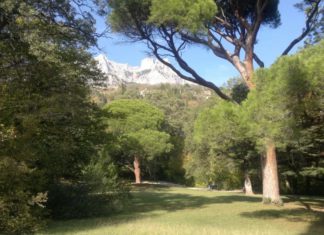 «Солнечная поляна» в Алупкинском парке, видеоэкскурсия сотрудников музея «Алупкинский» «Солнечная поляна» в Алупкинском парке, видеоэкскурсия сотрудников музея "Алупкинский"