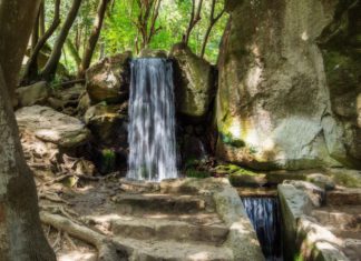 «Фонтаны и водопады Алупкинского парка», видеоэкскурсия сотрудников музея-заповедника «Алупкинский» «Фонтаны и водопады Алупкинского парка», видеоэкскурсия сотрудников музея-заповедника "Алупкинский"