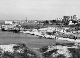 Как выстоял Херсонес Таврический и его сотрудники в годы Великой Отечественной войны Как выстоял Херсонес Таврический и его сотрудники в годы Великой Отечественной войны