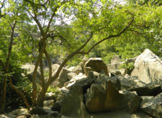 «Малый хаос» в Алупкинском парке музея-заповедника «Алупкинский», видеоэкскурсия "Малый хаос" в Алупкинском парке музея-заповедника "Алупкинский", видеоэкскурсия