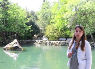 Видеоэкскурсия по парку музея-заповедника «Алупкинский» Видеоэкскурсия по парку музея-заповедника "Алупкинский"