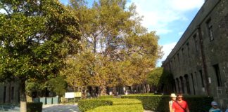 Выставки Хозяйственного корпуса Воронцовского дворца, видеоэкскурсия сотрудников музея Выставки Хозяйственного корпуса Воронцовского дворца, видеоэкскурсия сотрудников музея