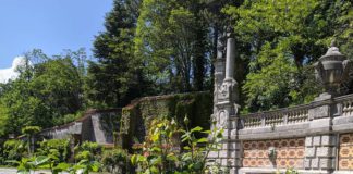 «Глория Дей» — роза мира и самый известный цветок ХХ века, видео из Массандровского дворца «Глория Дей» — роза мира и самый известный цветок ХХ века, видео из Массандровского дворца