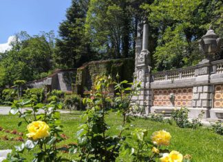 «Глория Дей» — роза мира и самый известный цветок ХХ века, видео из Массандровского дворца «Глория Дей» — роза мира и самый известный цветок ХХ века, видео из Массандровского дворца