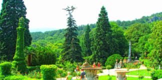 Массандровский парк, история имения графа Воронцова Массандровский парк, история имения графа Воронцова