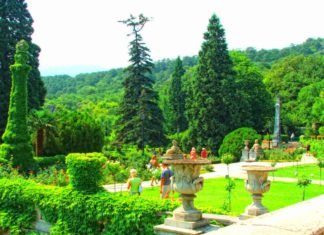 Массандровский парк, история имения графа Воронцова Массандровский парк, история имения графа Воронцова