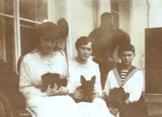 В семье Александра III и Николая II очень любили животных, из истории российского царского дома В семье Александра III и Николая II очень любили животных, из истории российского царского дома