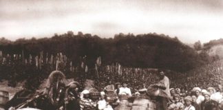 Крымские вина имения графа Воронцовых «Алупка», история виноделия в Крыму Крымские вина имения графа Воронцовых "Алупка", история виноделия в Крыму