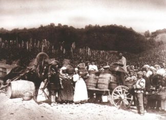 Крымские вина имения графа Воронцовых «Алупка», история виноделия в Крыму Крымские вина имения графа Воронцовых "Алупка", история виноделия в Крыму