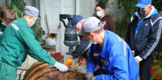 В Зимнем саду Воронцовского дворца пересадили растения в новые дубовые бочки, это делается раз в 15 лет, видео В Зимнем саду Воронцовского дворца пересадили растения в новые дубовые бочки, это делается раз в 15 лет, видео