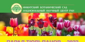 15-й Парад Тюльпанов в НБС (Никитский ботанический сад, Ялта) откроется 22 апреля с.г. 15-й Парад Тюльпанов в НБС (Никитский ботанический сад, Ялта) откроется 22 апреля с.г.