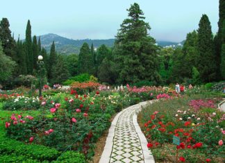 Бал Роз в Никитском ботаническом саду будет идти почти месяц Бал Роз в Никитском ботаническом саду будет идти почти месяц