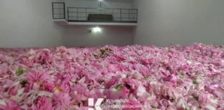 ВИДЕО: Крымская косметика из натурального сырья (розовые лепестки) поставляется в Китай ВИДЕО Крымская косметика из натурального сырья (розовые лепестки) поставляется в Китай