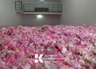 ВИДЕО: Крымская косметика из натурального сырья (розовые лепестки) поставляется в Китай ВИДЕО Крымская косметика из натурального сырья (розовые лепестки) поставляется в Китай