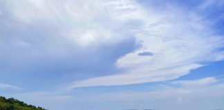 Лавандовый сезон начался в Крыму, поля лаванды в Тургеневке Лавандовый сезон начался в Крыму, поля лаванды в Тургеневке