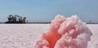 Начался сбор соли в Крыму: фото с озера Сасык-Киваш, как это выглядит Начался сбор соли в Крыму: фото с озера Сасык-Киваш, как это выглядит