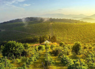 Перевал Ян-Туруз, природная «флорентийская живопись» в Крыму, Канака Перевал Ян-Туруз, природная "флорентийская живопись" в Крыму, Канака