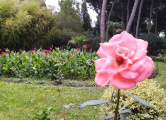 В парке «Карасан»: дворец «Карасан» (Раевских), фонтан «Девушка с кувшинами», коты-хранители парка.. В парке "Карасан": дворец "Карасан" (Раевских), фонтан "Девушка с кувшинами", коты-хранители парка..