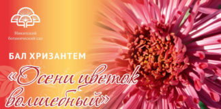69-й «Бал Хризантем» в Никитском ботаническом саду (НБС, Ялта) завершен, история, наука и династии ученых НБС 69-й "Бал Хризантем" в Никитском ботаническом саду (НБС, Ялта) завершен