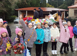 Детскому конкурсу «Нарядим секвойядендрон вместе!» уже 6 лет, а гигантскому мамонтову дереву в Никитском ботаническом 45 лет!