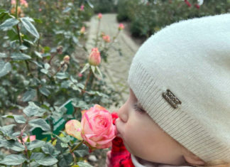 ФОТО/ВИДЕО: розы зацвели в Никитском Ботаническом саду, стряхнув снежную шубку, потянулись к весне ФОТО/ВИДЕО: розы зацвели в Никитском Ботаническом саду, стряхнув снежную шубку, потянулись к весне