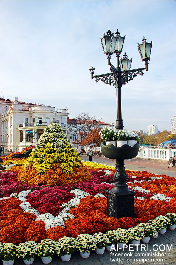 Цветочная выставка "Бал Хризантем" в Севастополе. Осень-2014