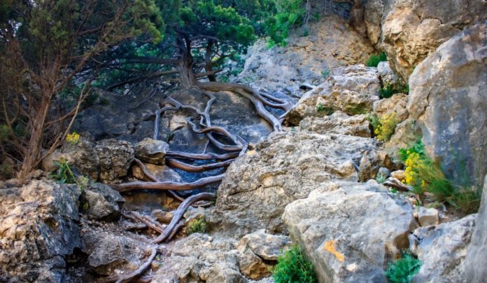 Лестница тавров, Новый Свет Лестница тавров, Новый Свет