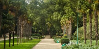 Мисхор, Мисхорский парк фотообзор, август 2011 Мисхор, Мисхорский парк фотообзор, август 2011