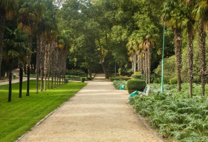 Мисхор, Мисхорский парк фотообзор, август 2011 Мисхор, Мисхорский парк фотообзор, август 2011