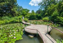 Форосский парк видео 2024, история памятника садово-паркового искусства в Форосе Форосский парк, памятник садово-паркового искусства в Форосе