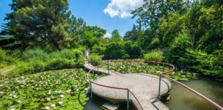 Форосский парк видео 2024, история памятника садово-паркового искусства в Форосе Форосский парк, памятник садово-паркового искусства в Форосе