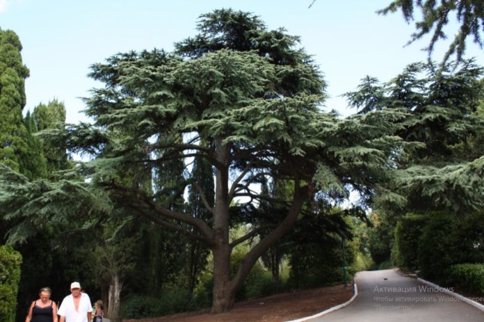 Михорский парк, история парка и скульптуры Русалки с Младенцем, авторские фотогалереи Михорский парк вчера и сегодня, история парка и скульптуры Русалки с Младенцем