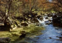 Река Бельбек, самая полноводная река Крыма Река Бельбек, самая полноводная река Крыма